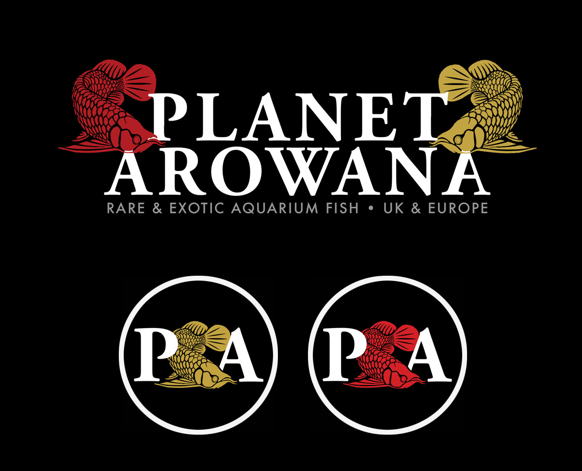 Planet Arowana